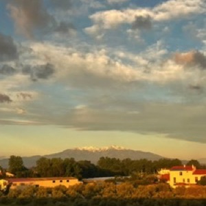 Perpignan, Ille-sur-Têt et Collioure ☀️.#france #city